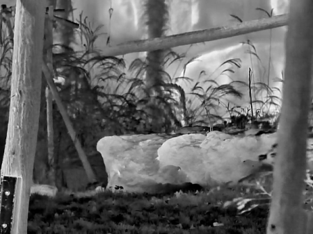 SWIR vs. MWIR vs. LWIR инфракрасные детекторы: руководство по их различиям и применению