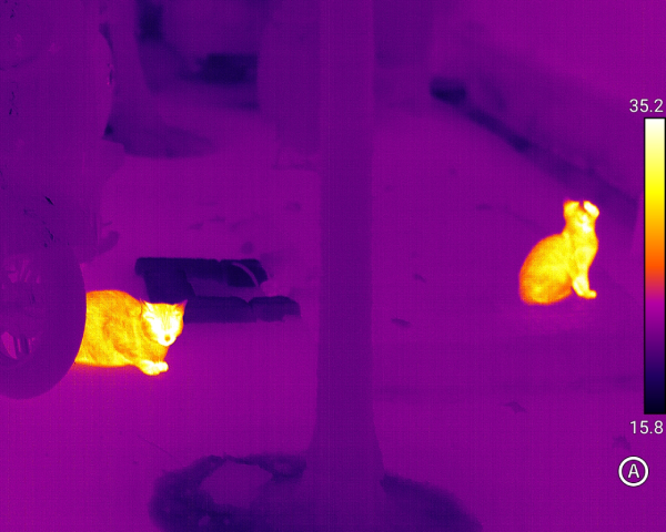 Понимание частоты кадров в инфракрасной термографии